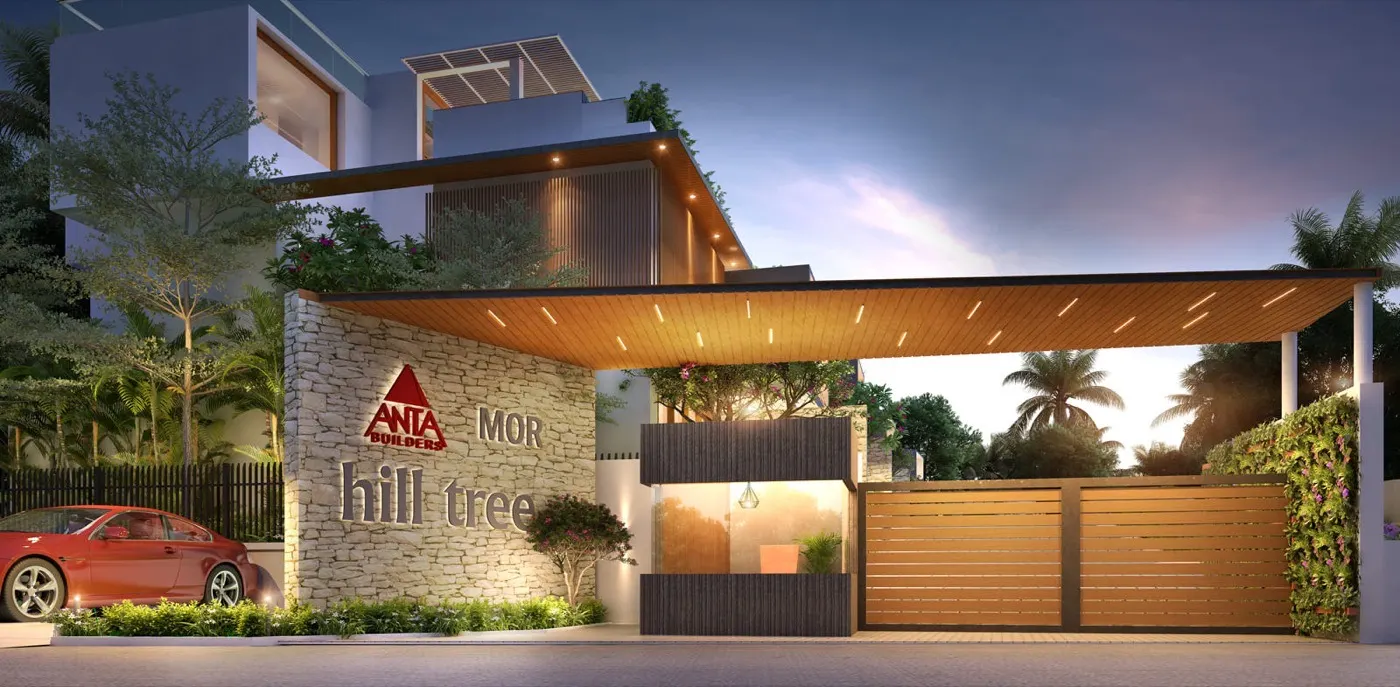 Anta - Hill Tree: project elevation and photograph
