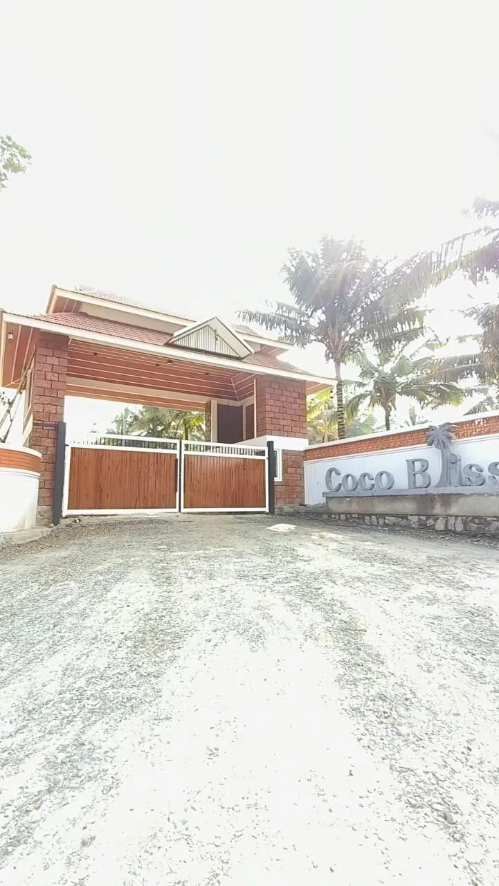 Coco Bliss: project elevation and photograph