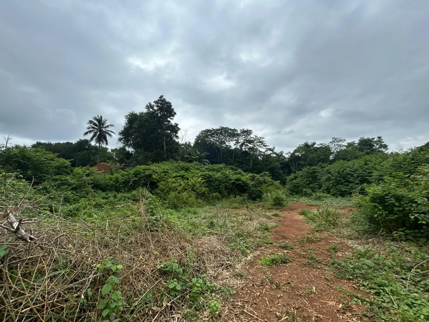 Kma Properties Empyrean Avenue: project elevation and photograph