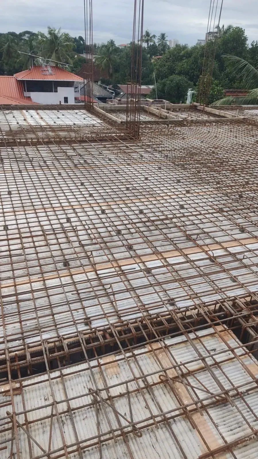 Lotus Samskrithi: project elevation and photograph