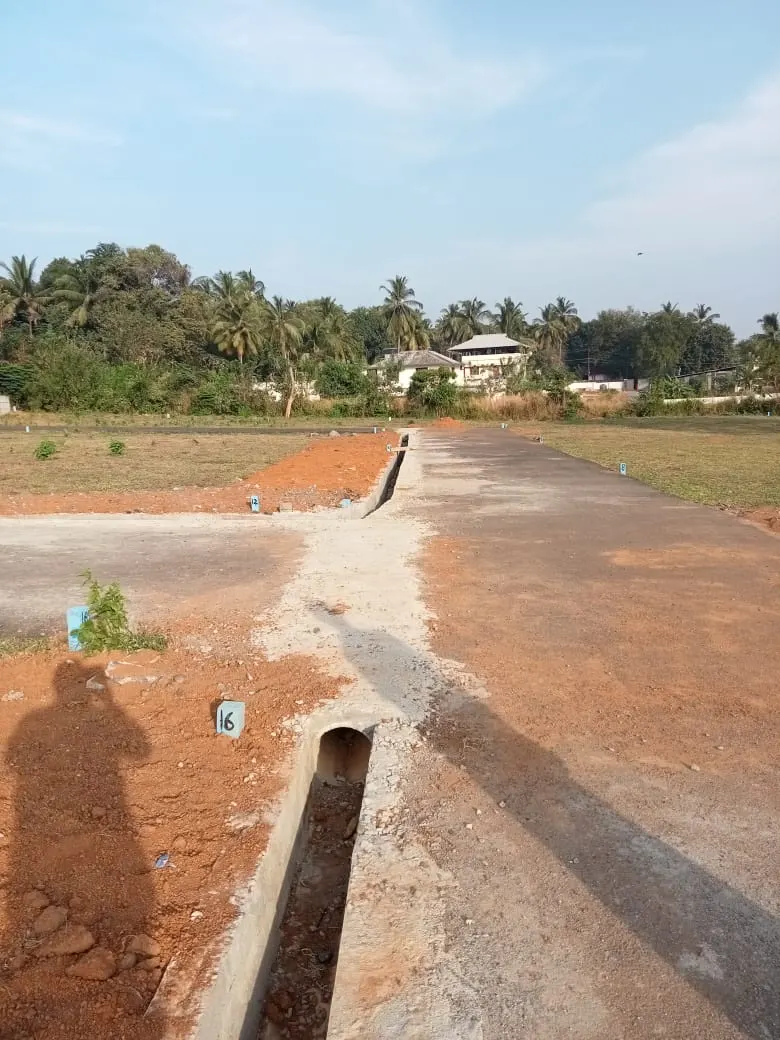 Unity Gardens: project elevation and photograph