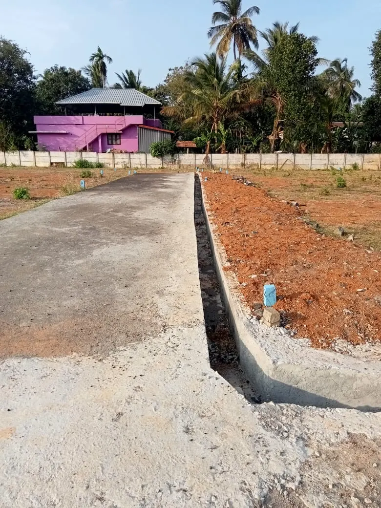 Unity Gardens: project photograph 3