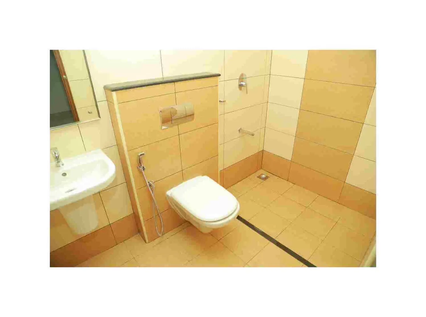 Varma Dr Pais Heritage: project photograph 1
